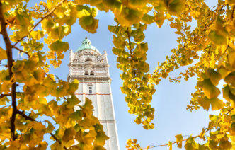 The Queen's Tower, seen through the yellow leaves of a tree