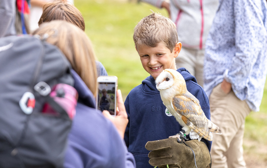 Parent taking picture of child holding an owl