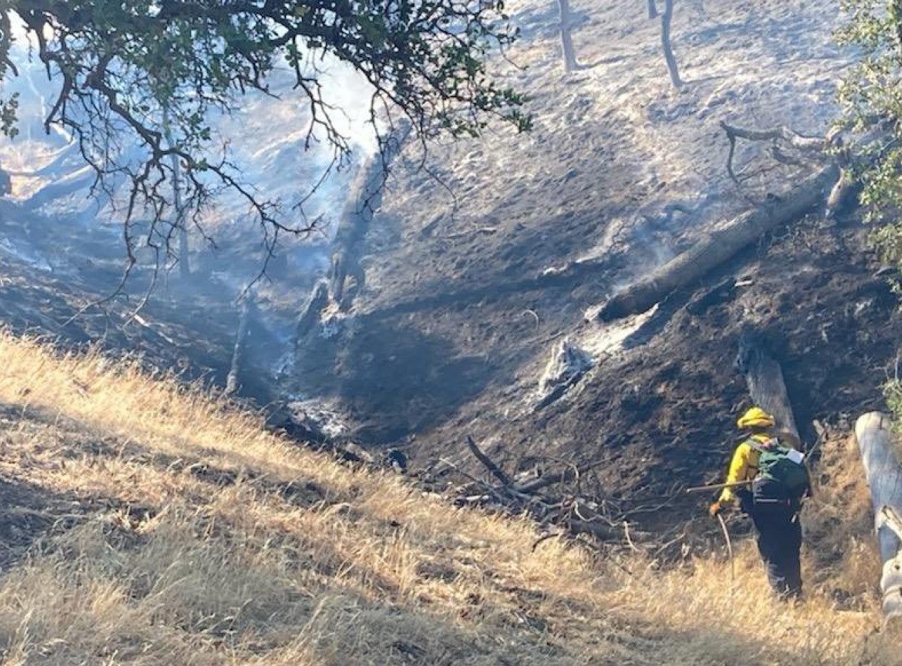 Firefighter in protective clothing treads through a burnt forest
