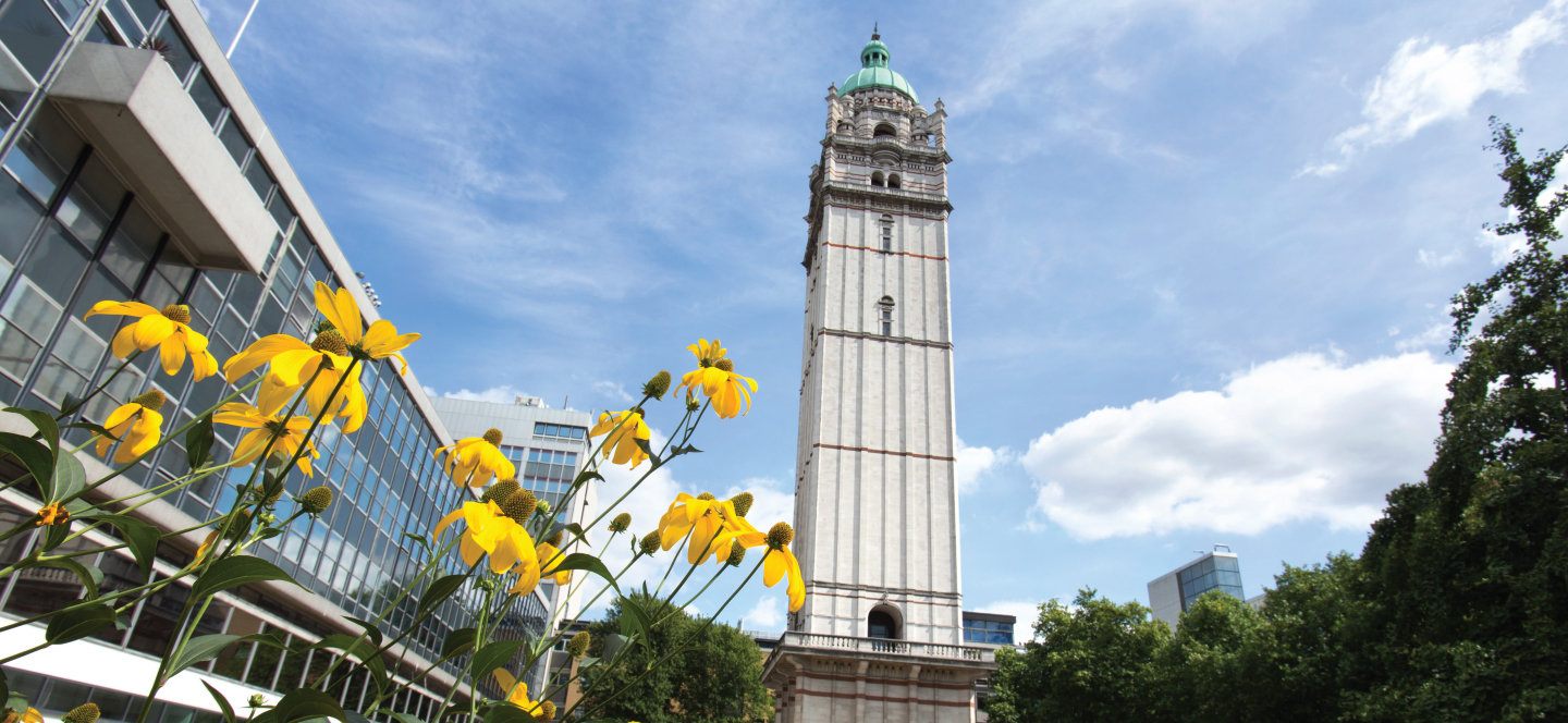 Undergraduate | Study | Imperial College London