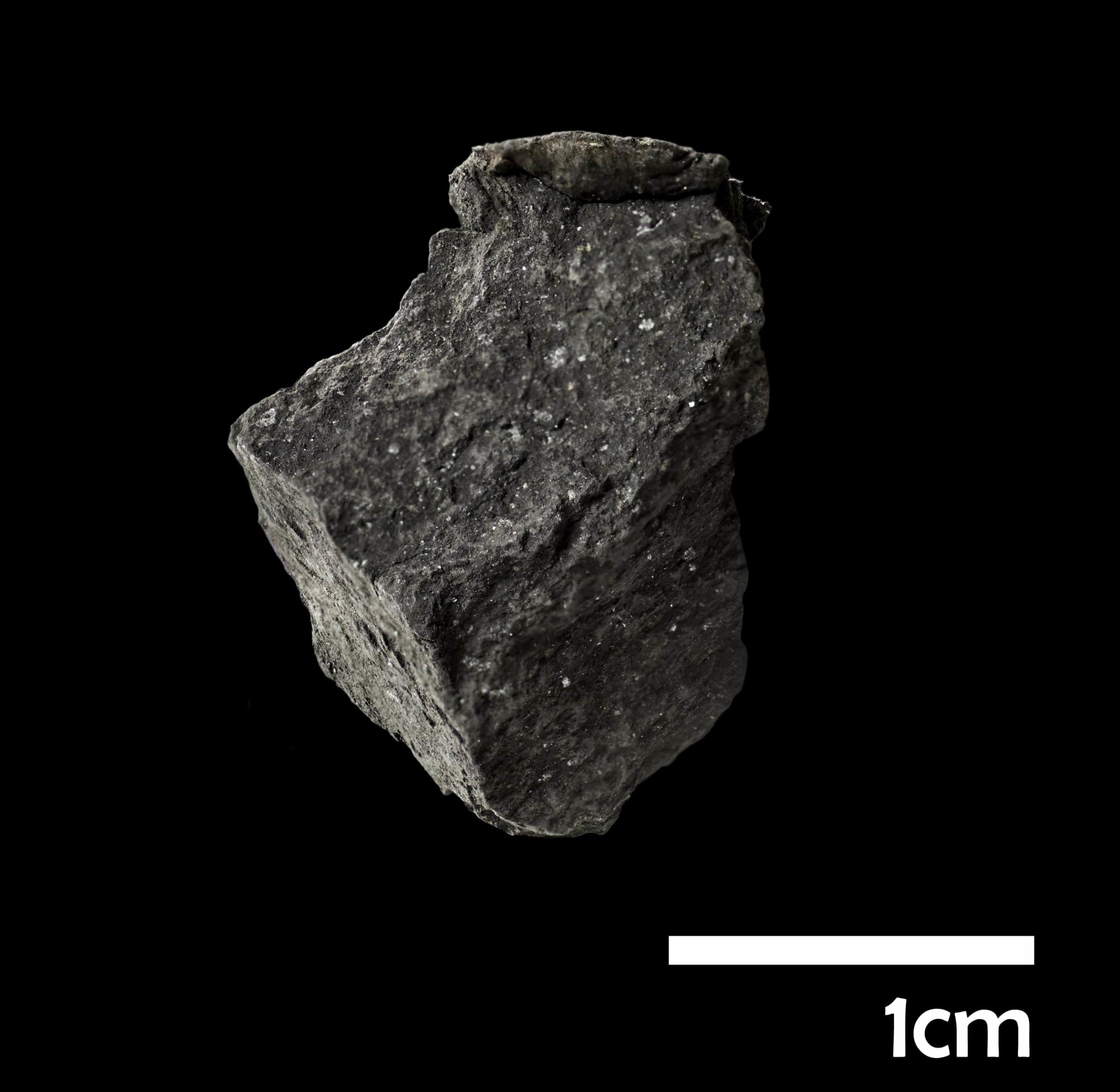 Photo of the meteorite