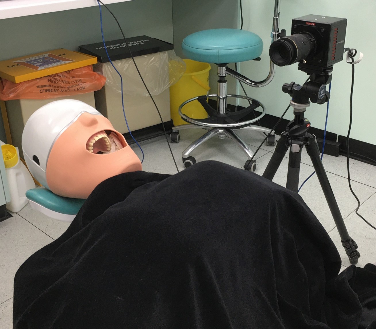 Photo of a mannequin with teeth used in the tests. The camera can be seen pointing at the dummy.
