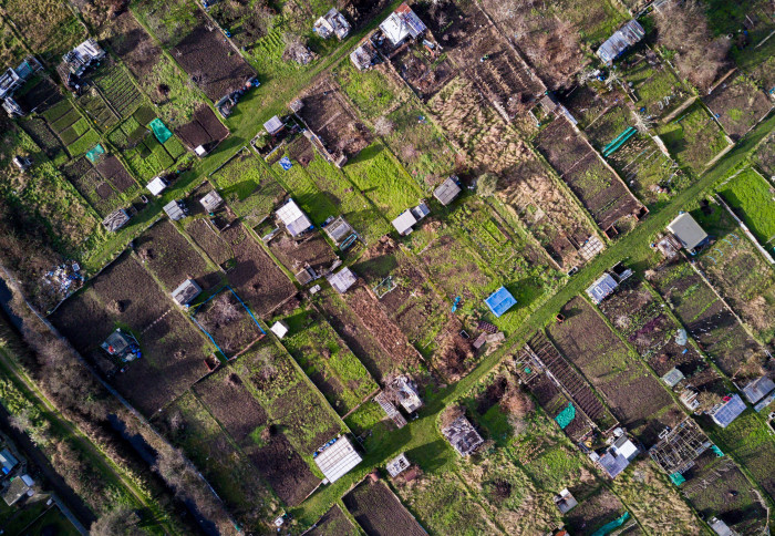 Aerial view of allotment plots