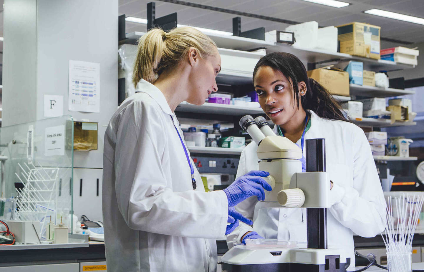 Faculty Of Medicine Imperial College London