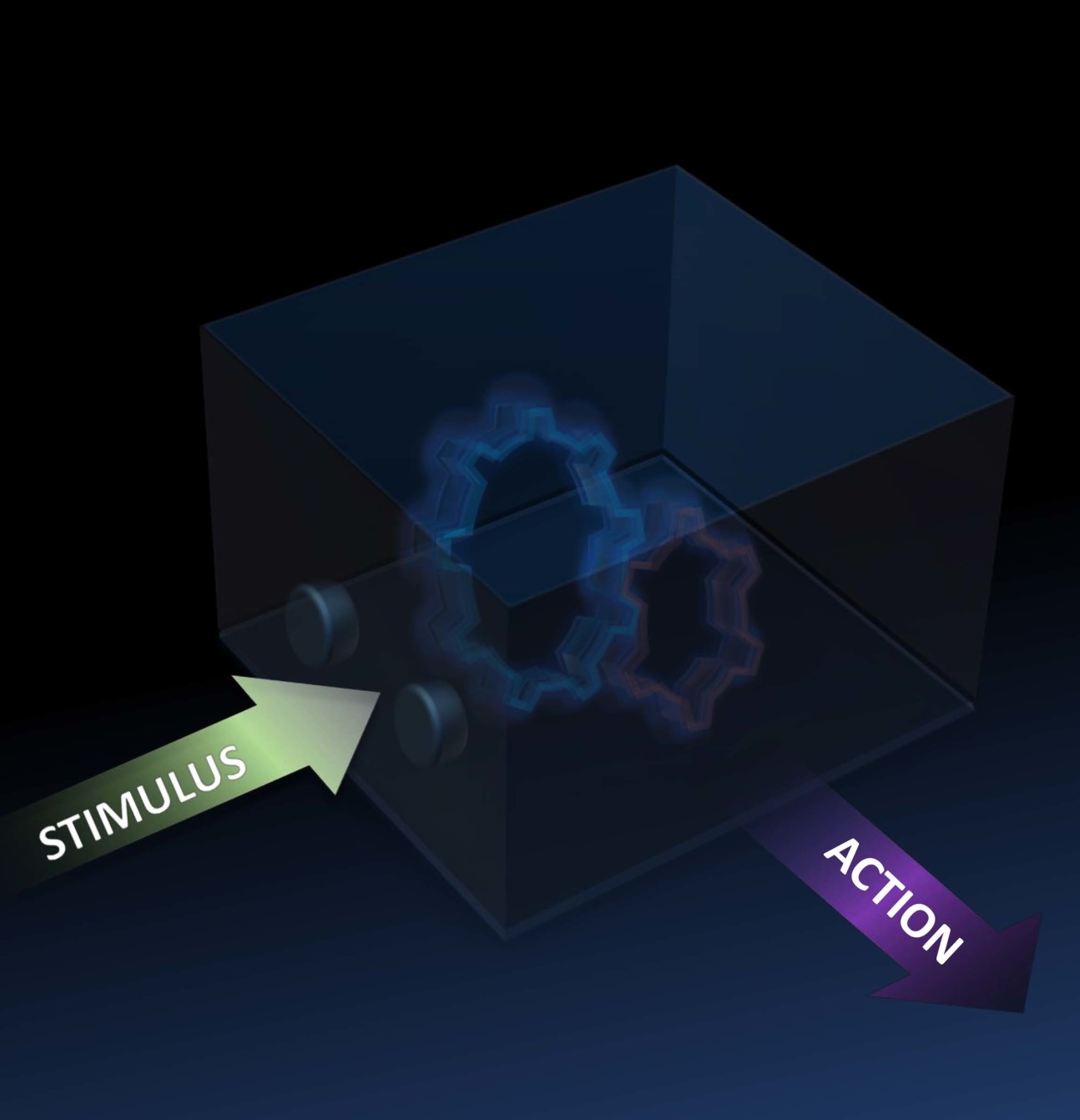 Computer image of quantum information processing