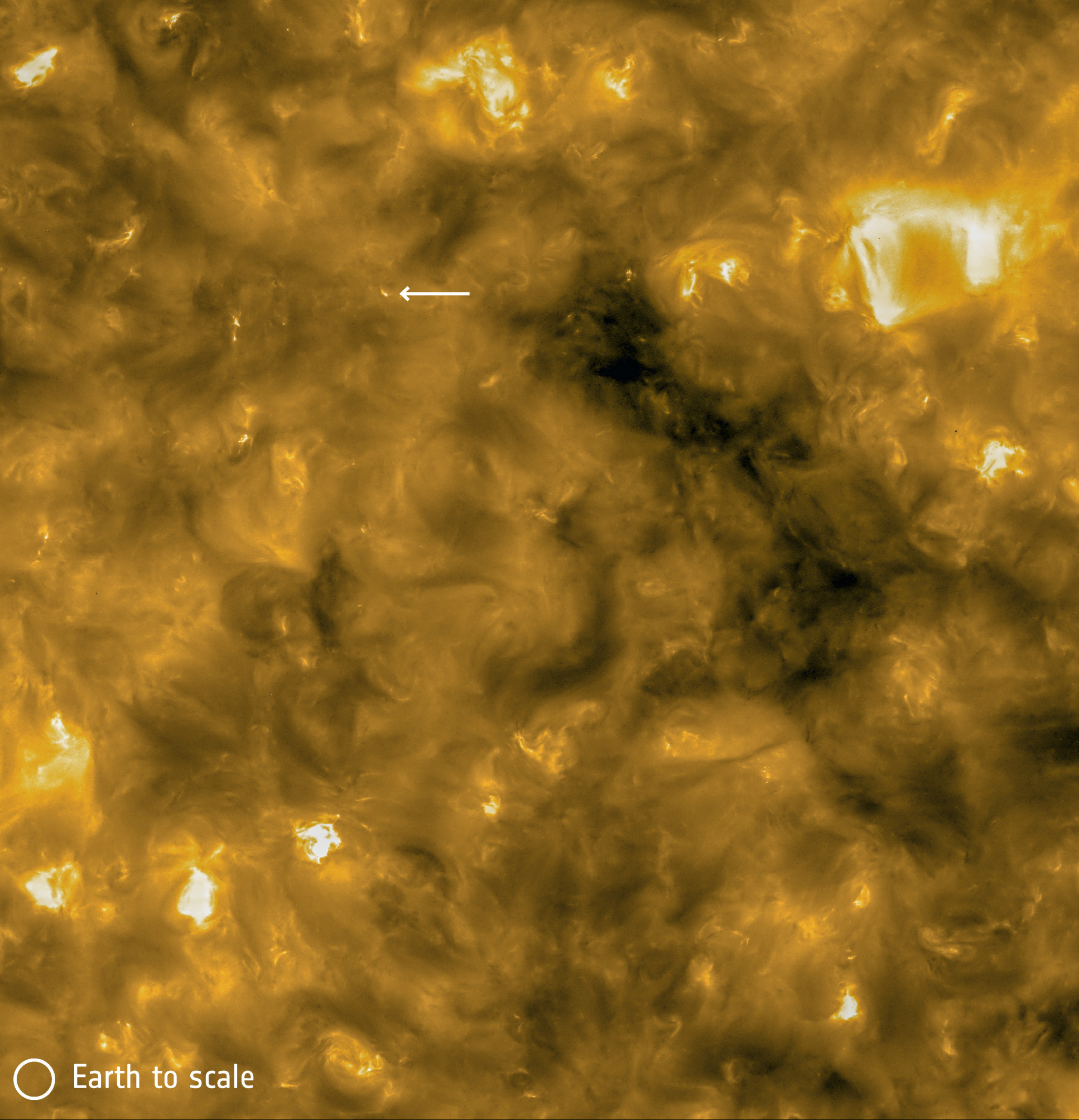 Wavy yellow close-up of the Sun, with a bright section marked