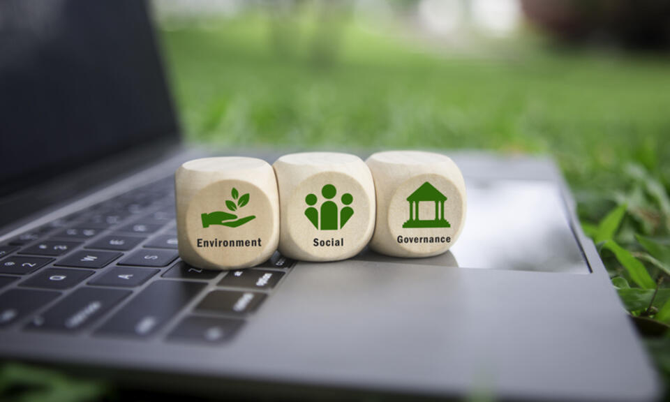 3 cubes of wooden blocks sit on top of an open laptop. Close up shows the laptop is sitting on grass (in nature). Environment, Social and Governance are written on each of the three cubes.