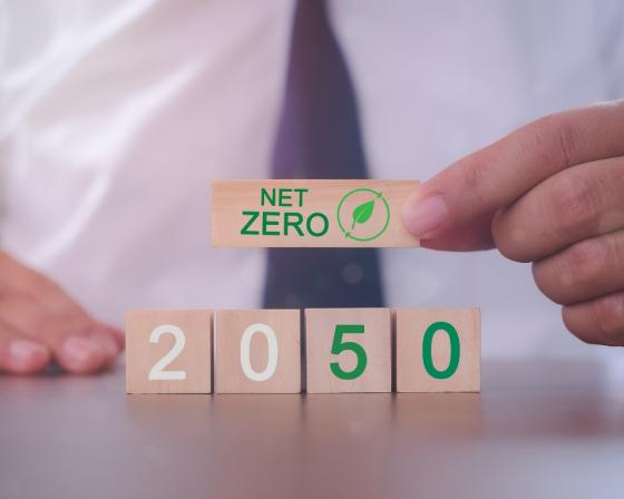 Hand puts wooden cubes with net zero icon in 2050 on grey background