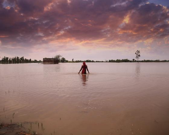 A woman stands in flooded farmland in India
