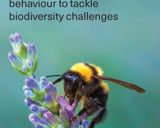 Front cover of Leonardo Centre biodiversity report