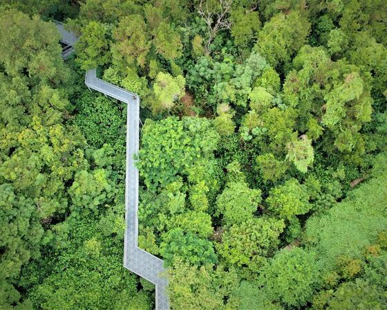 Aerial view of the elevated walkways at Telok Blangah Hill Park in Singapore