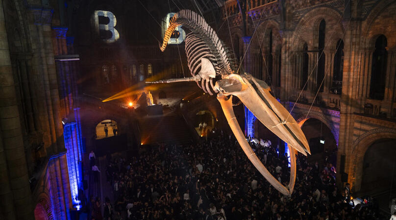 image of the Natural History Museum interior during a party