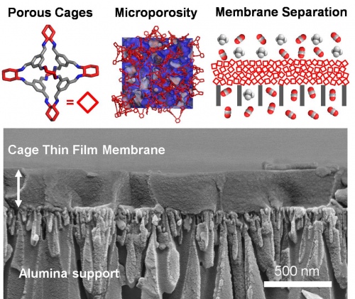 Porous Organic Cage Thin Films and Membranes