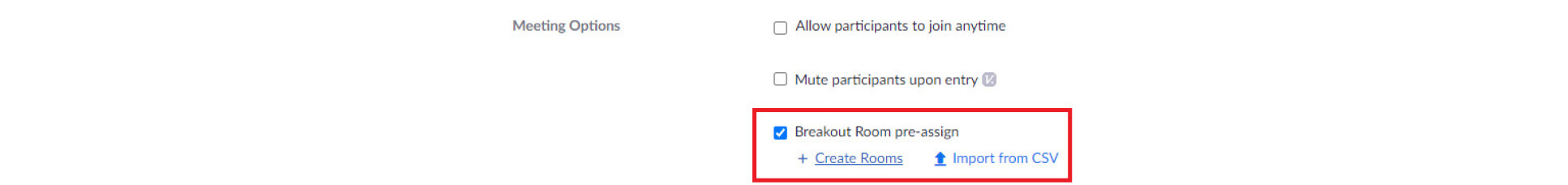 Breakout rooms pre-assign