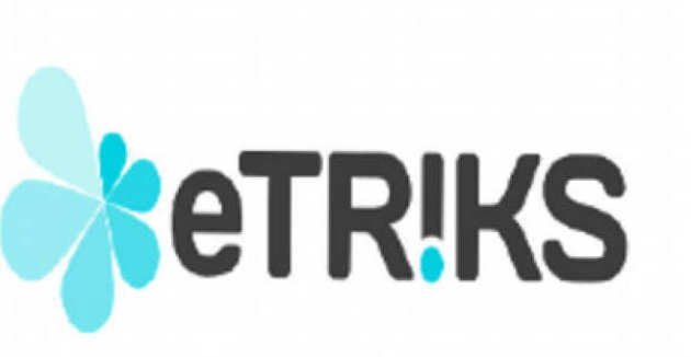 eTRIKS Logo