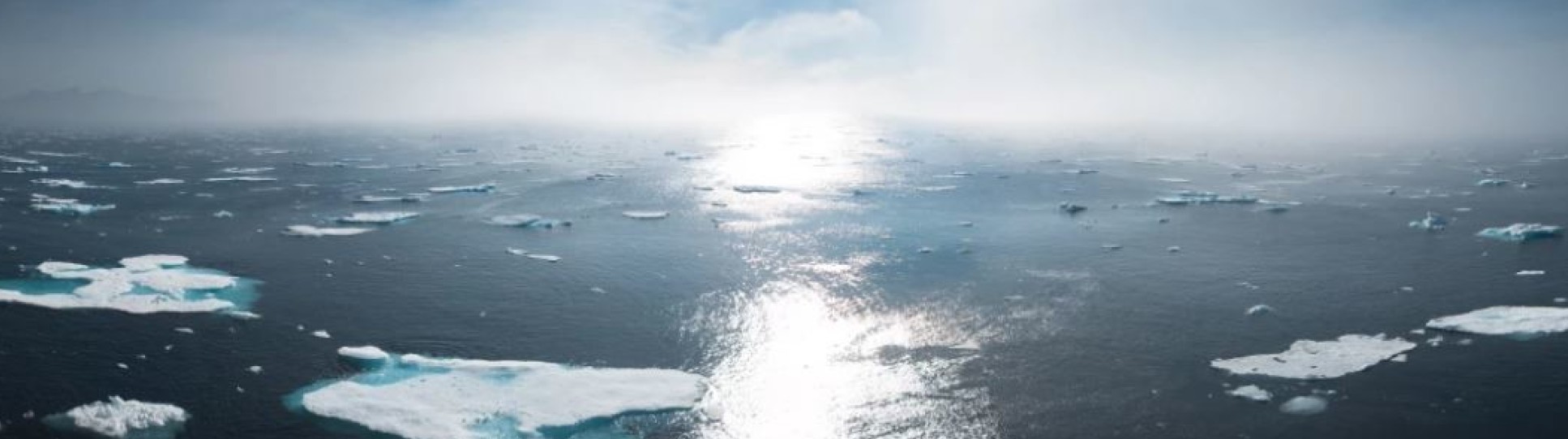 Image of the ocean with ice of various sizes floating into the distance. 