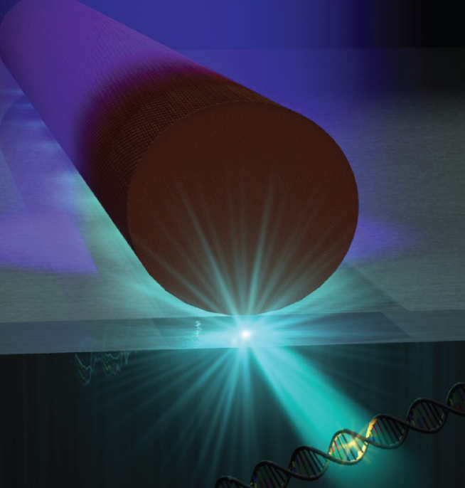 Nanolaser consisting of a semiconductor nanowire placed upon a metallic surface in order to create light fields with dimensions close to that of biological molecules