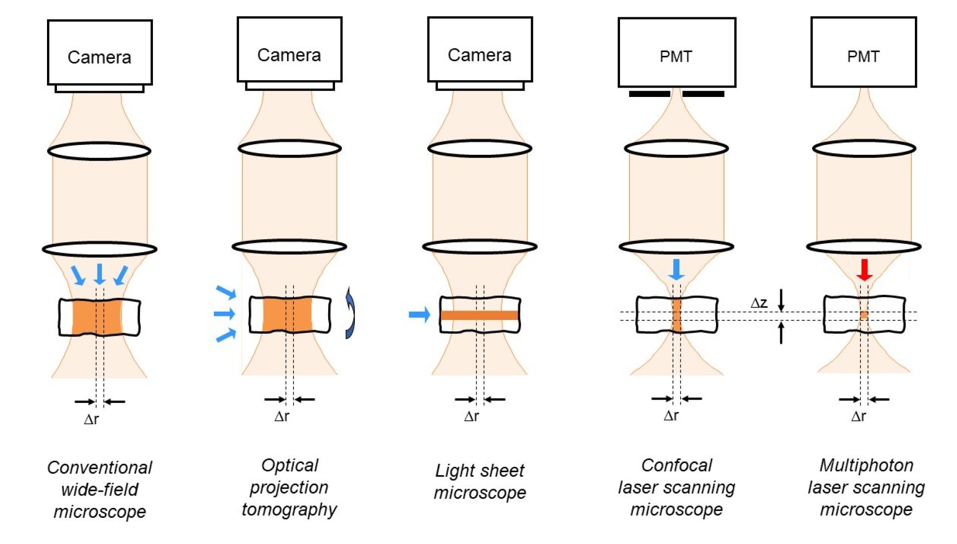 overview fluorescence scopes