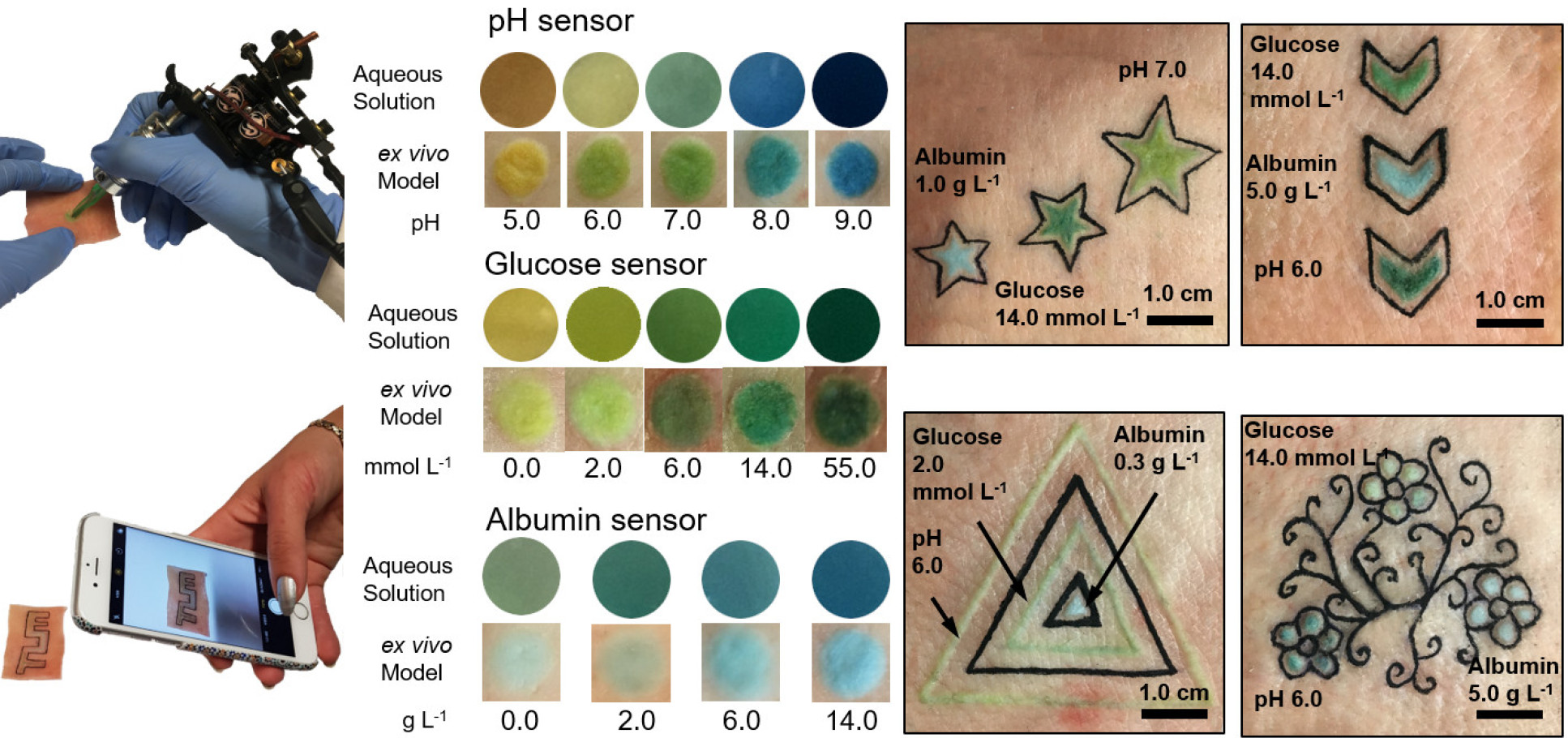 Dermal sensors and their applications.