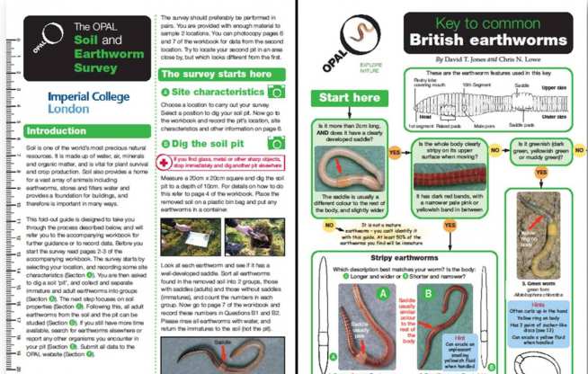 Soil and Earthworm Fieldguide