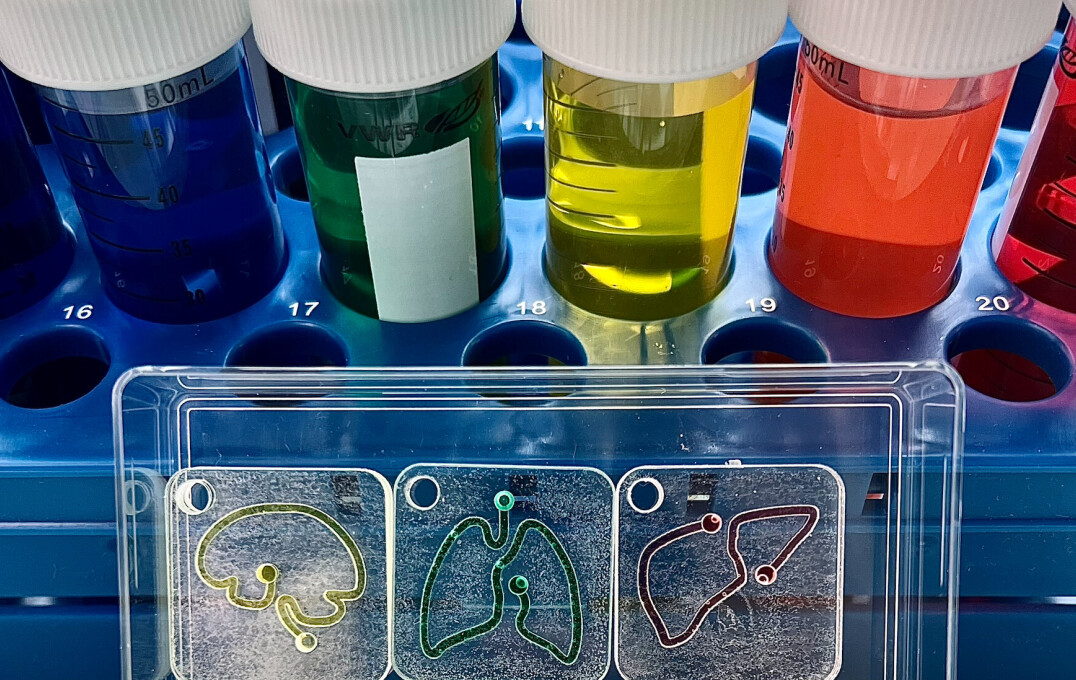 multi-coloured liquid