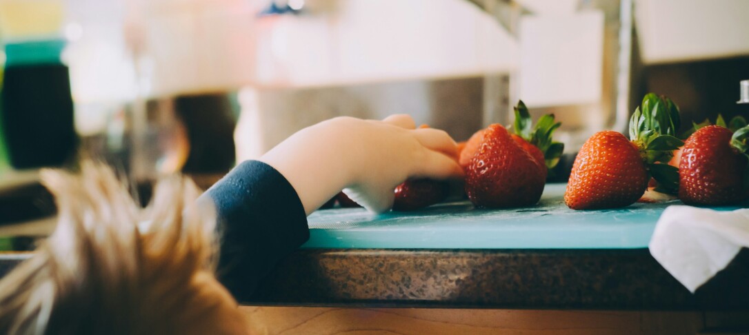 Child reaching for strawberries on kitchen counter