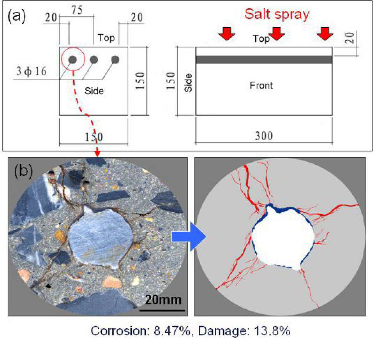 Fig 1: Degree of corrosion and damage amount of cracking and corrosion products (Fig 1b)