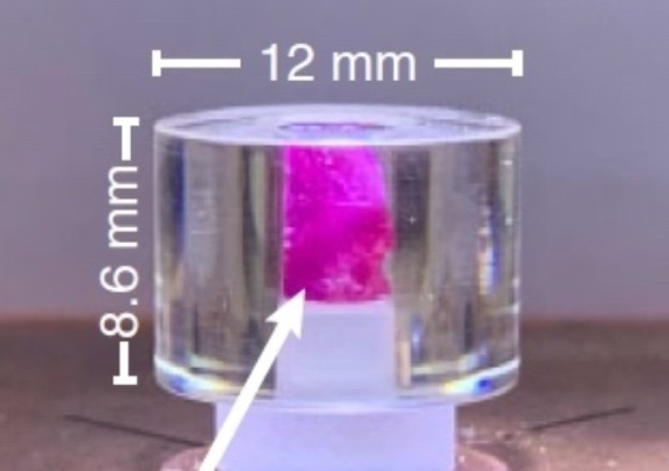 Image of the pentacene-doped p-terphenyl crystal (pink) inserted inside the microwave resonator (transparent material, made of strontium titanate). The entire resonator and crystal are about a centimetre in size