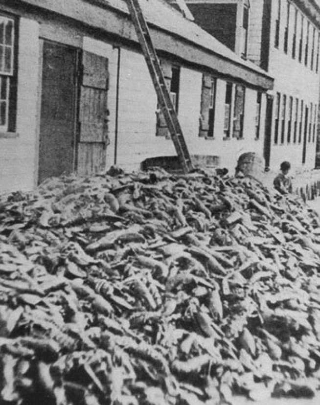 A huge pile of lobsters outside a shack