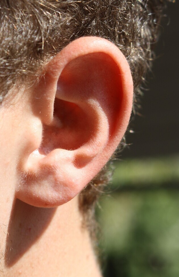 A closeup of a human ear.