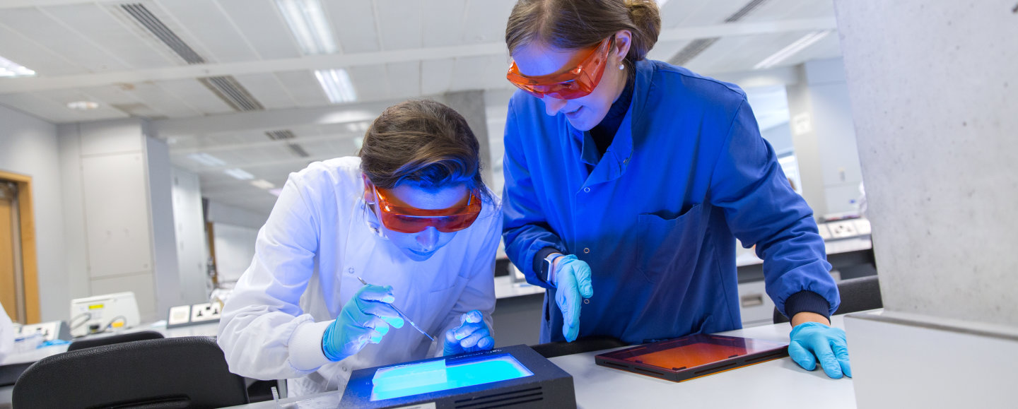 BSc Microbiology | Study | Imperial College London