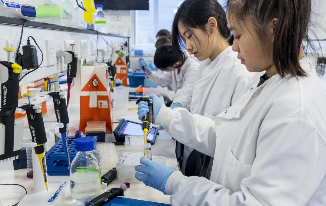 BSc Medical Biosciences students work in the labs at Imperial's Hammersmith campus