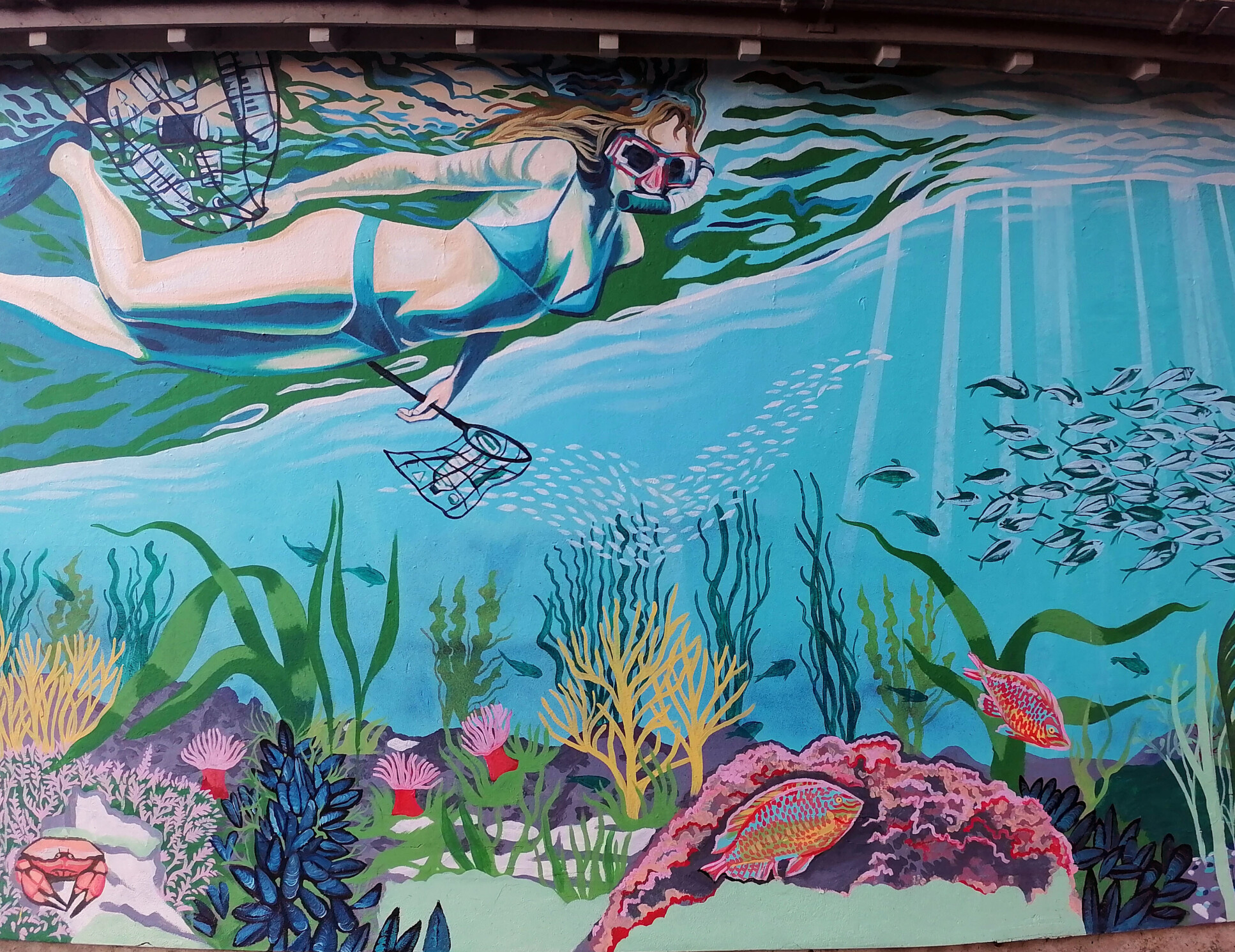 Mural depicting a seascape featuring carbon-absorbing sea kelp