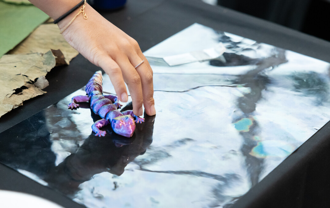 A mettalic toy lizard on a reflective surface