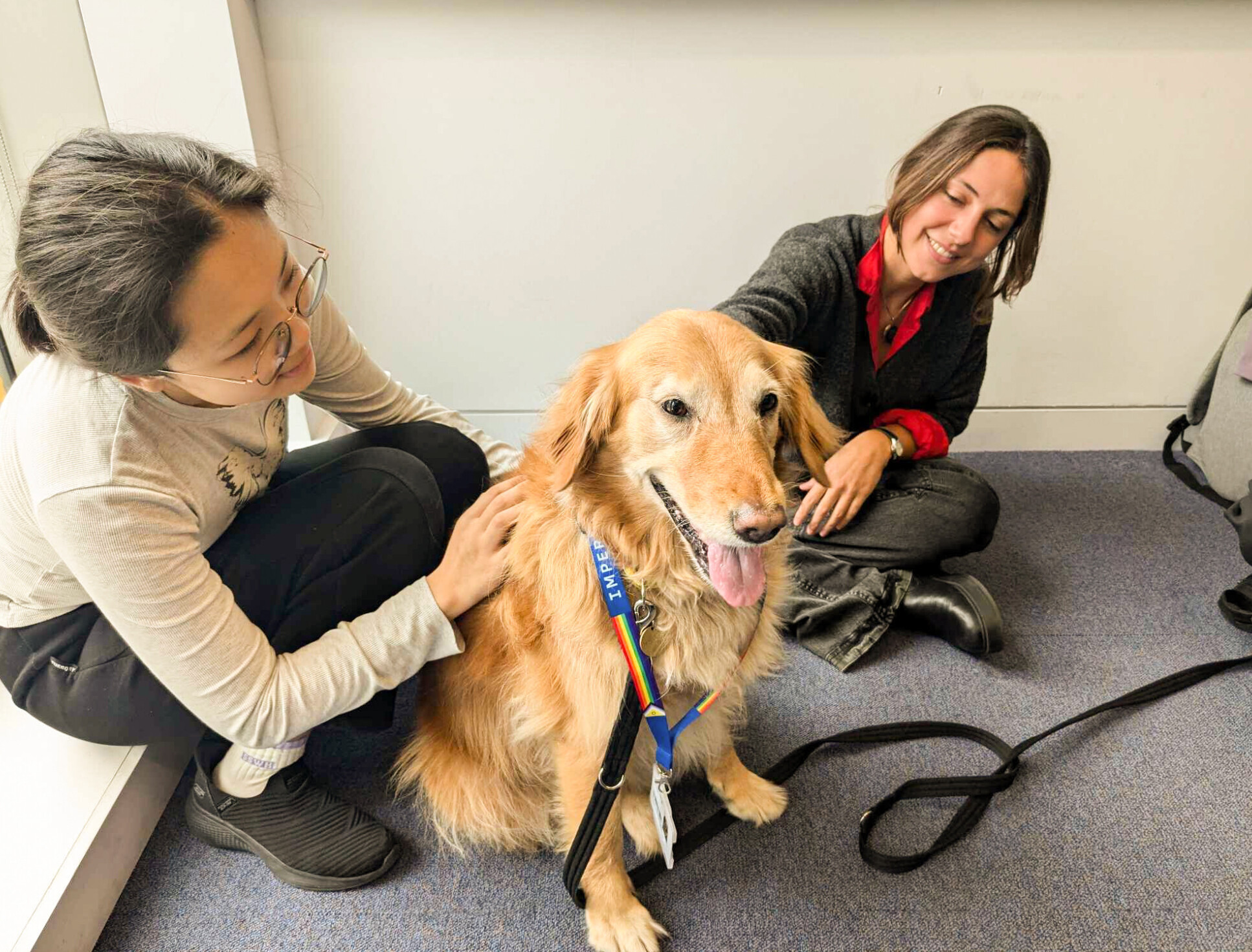 Two students petting and spending time with Holly, a golden retriever and therapy dog