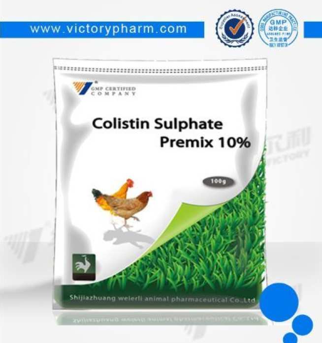 India Colistin