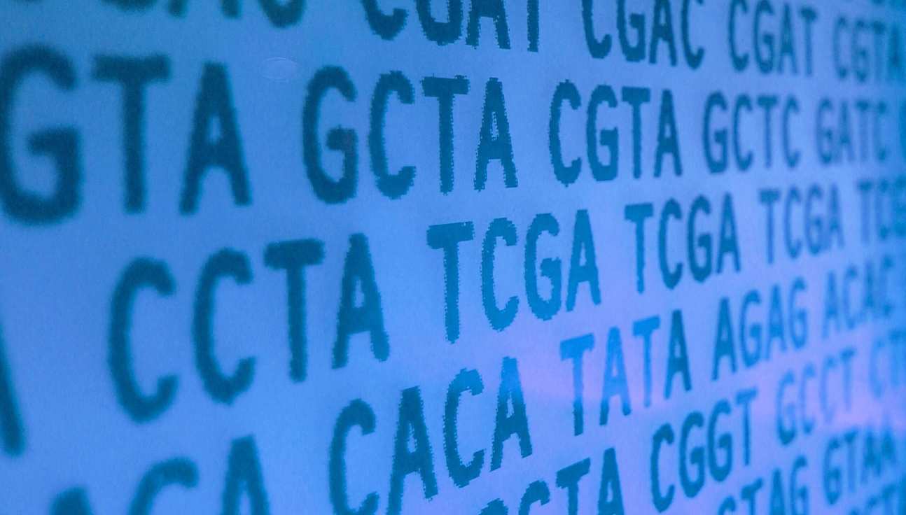 DNA sequences written out in letters
