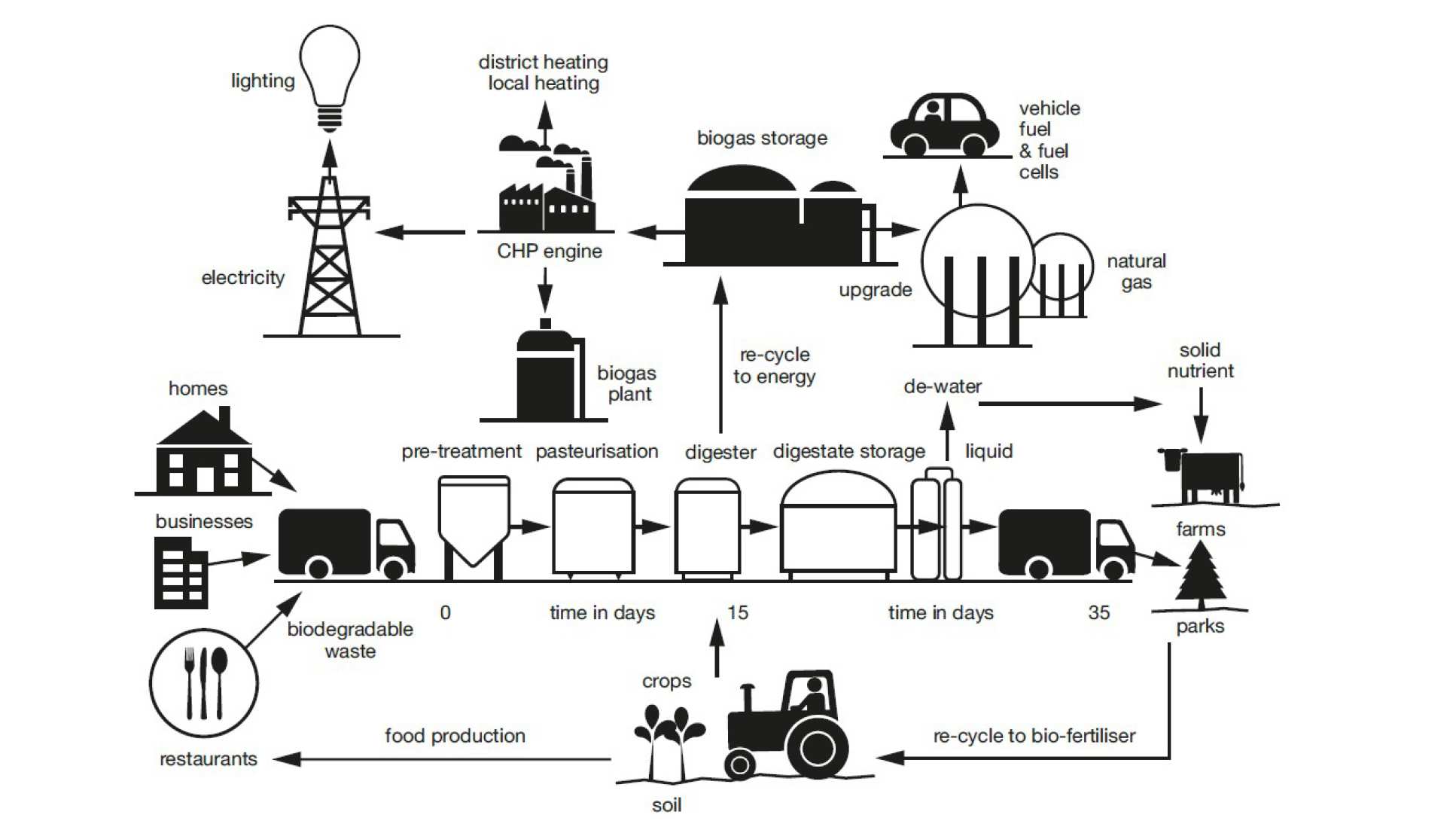 Figure 5: Anaerobic digestion as part of food waste's life cycle