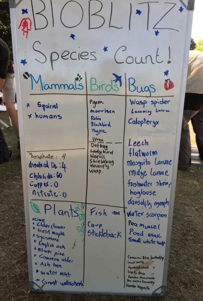 A whiteboard listing all the species identified