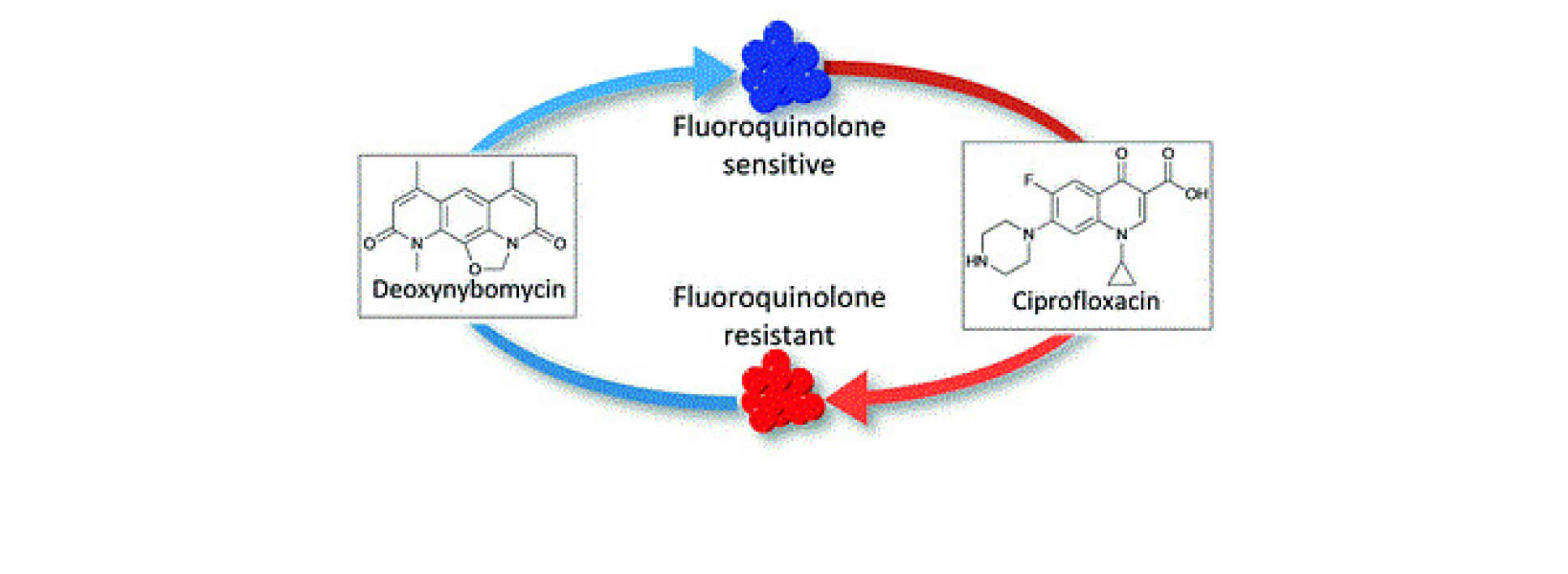 Research image of diagram showing reverse antibiotic approach