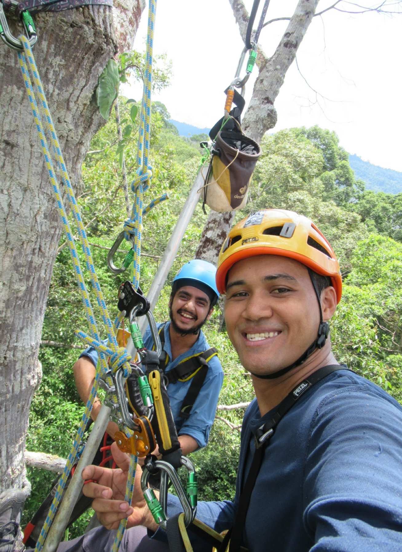 Two men scaling a tree