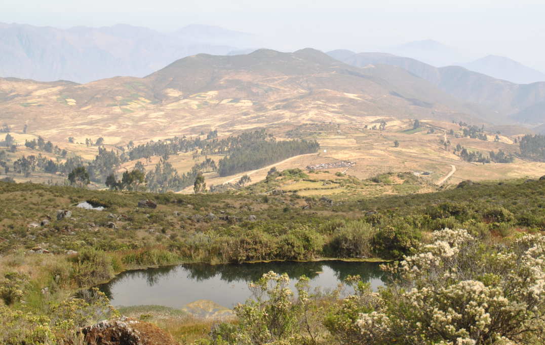 Photo of a water pond in wet season (showing a drier pond and dry, brown grass))