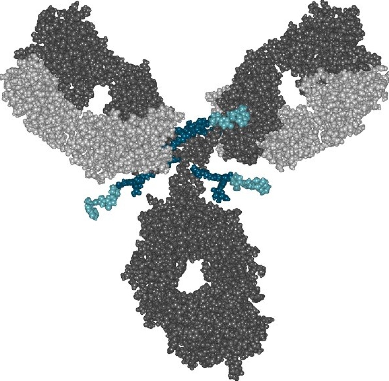 impression of an antibody-drug conjugate