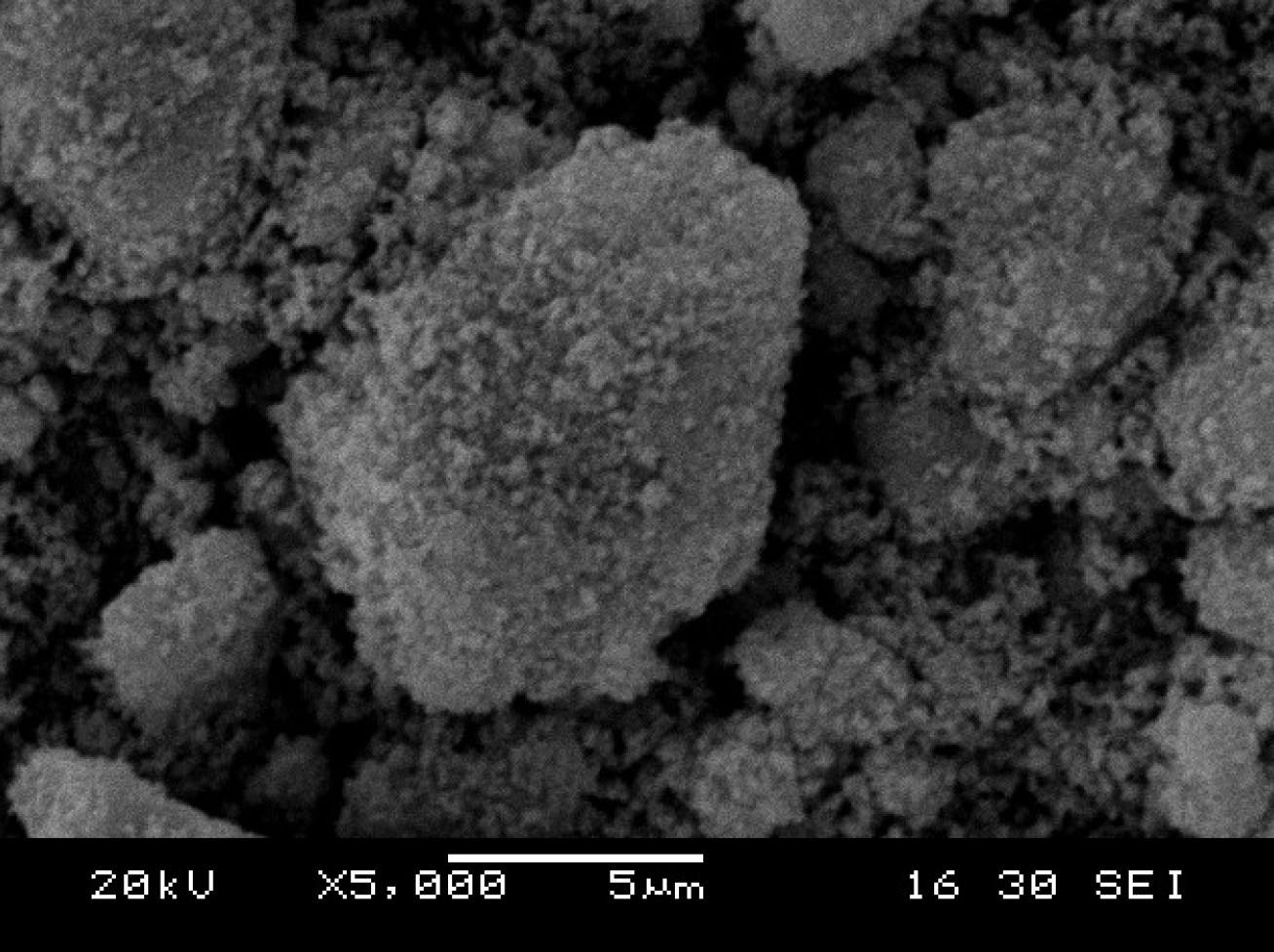 Scanning Electron Microscope (SEM) image of the arsenic-removing material.