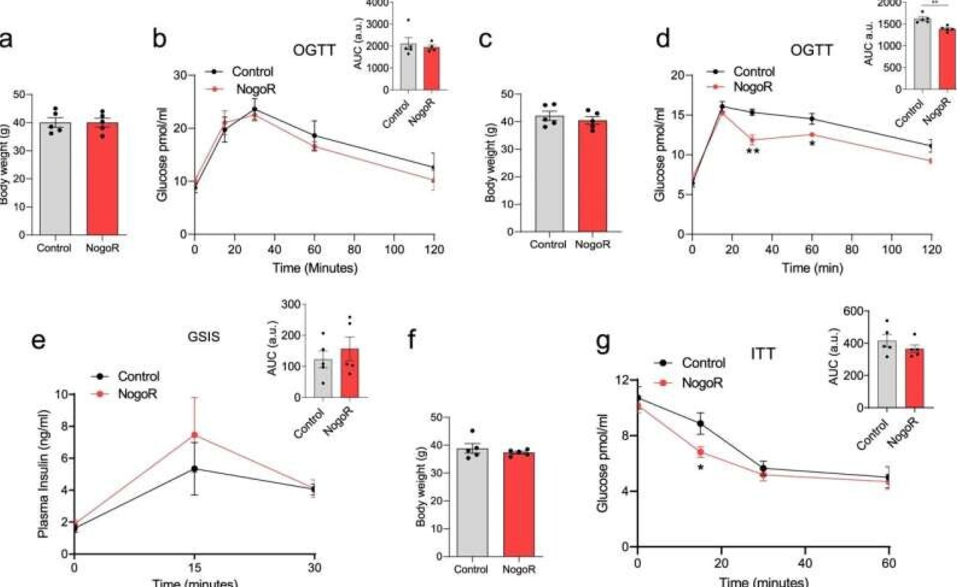  NogoR enhances glucose clearance and insulin sensitivity in HFD mice.