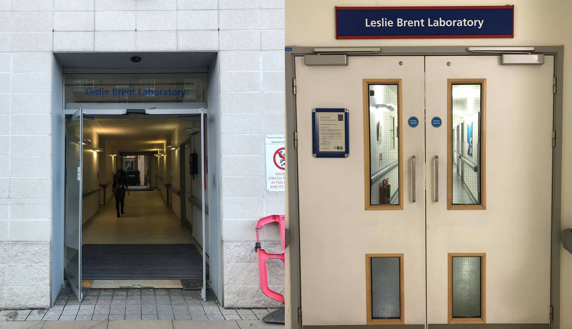 Leslie Brent Laboratory at Hammersmith