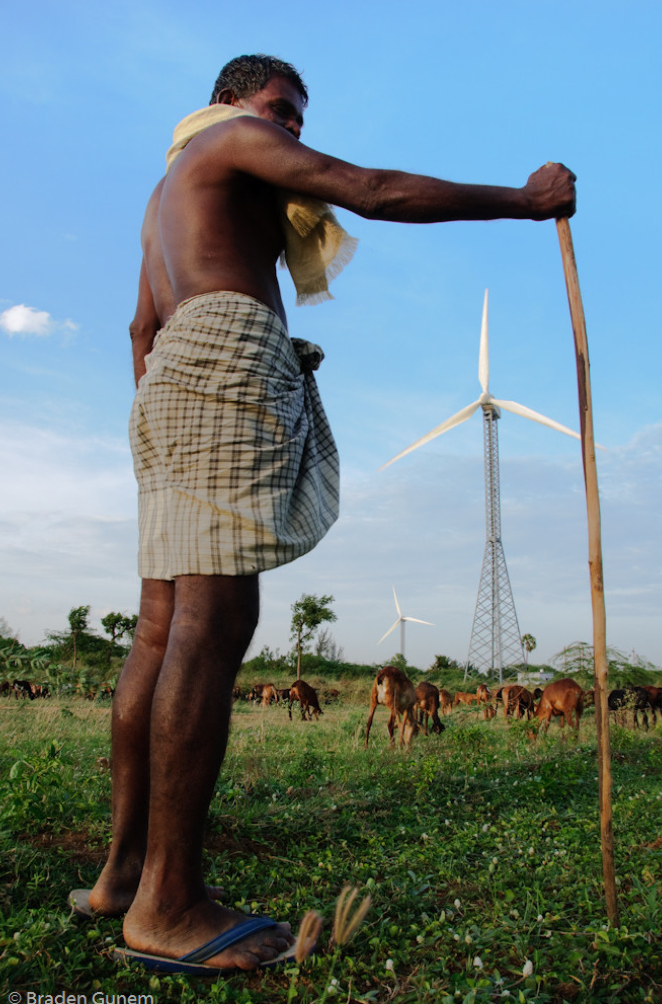 Indian sheep farmer in front of a wind turbine