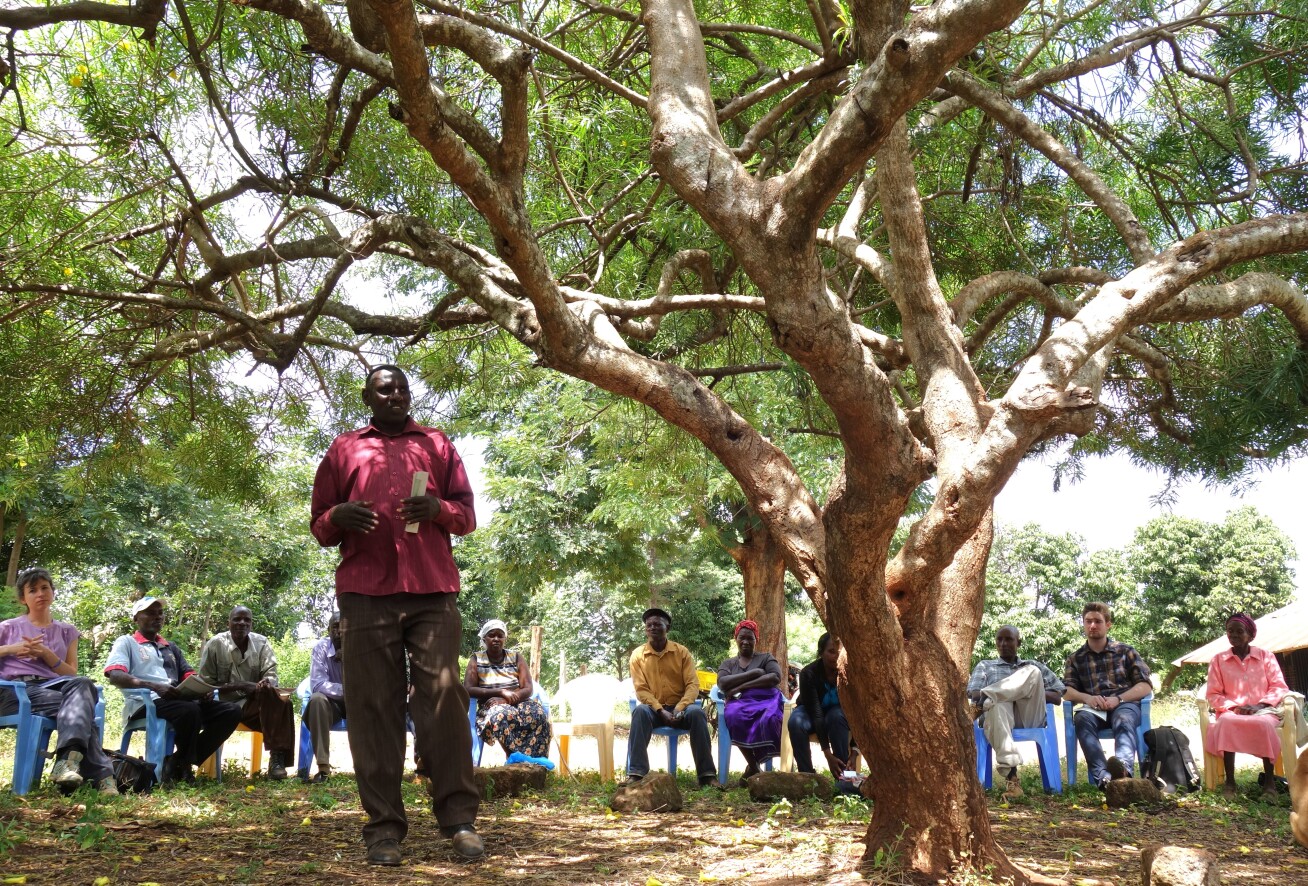 Person talking next to a tree surrounded by a ring of people