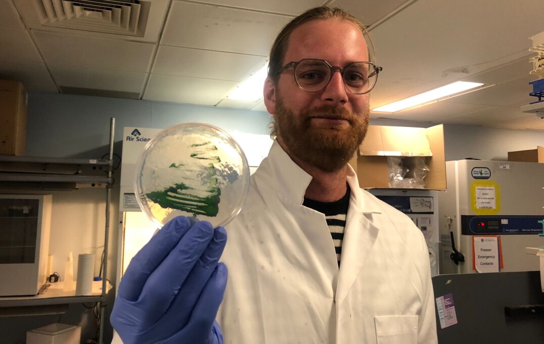 Andrej from the Deep Blue BioTech team with a cyanobacteria dish