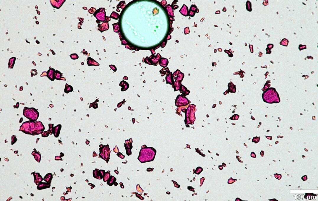 Upon investigation of the solubility of different iron salts in an ionic liquid, namely [DMBA] [HSO4], the image demonstrates that Fe(acac)3 did not dissolve.